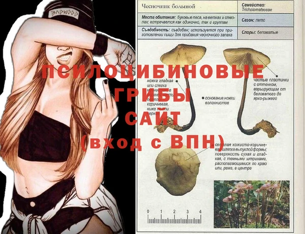 mdma Горно-Алтайск