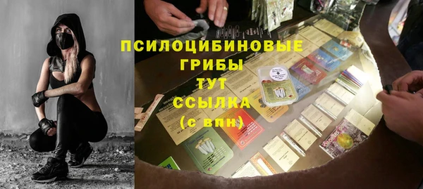 spice Горнозаводск