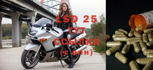spice Горнозаводск