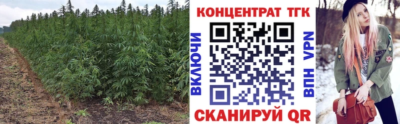 где найти наркотики  Железногорск  ТГК вейп с тгк 