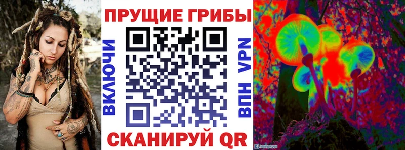 Галлюциногенные грибы Psilocybine cubensis  ссылка на мегу маркетплейс  Железногорск  наркотики 