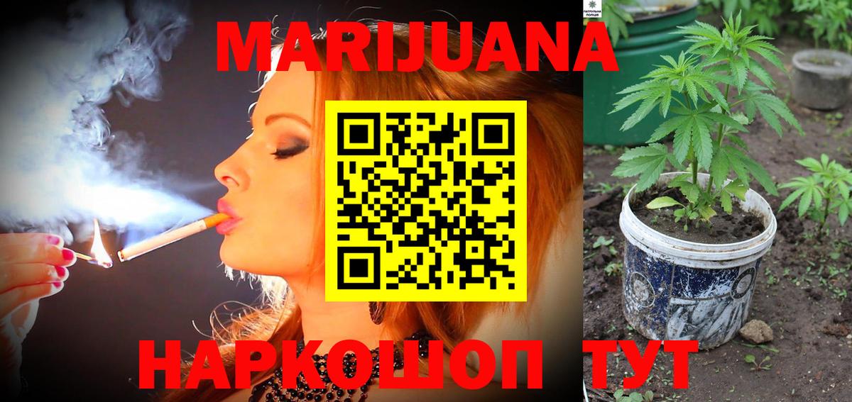 Бошки марихуана OG Kush  Канабис план  Марихуана семена  Вход с VPN  Железногорск 